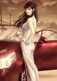 全能女婿葉辰