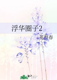 浮華圈子2
